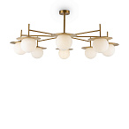 ������������������� Camelia Freya FR5202PL-08BS