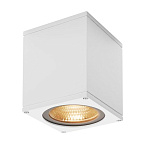 234521, BIG THEO LED WL ���������� SLV ��������� IP44 � LED 17.5�� (21��), 3000K, 24�, 2000lm, �����