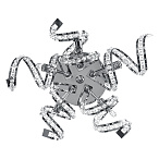 ��� Lightstar SPIDER 5�40W G9 ���� ���. 742654