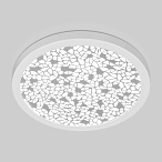 ������������ �������� ������������ ���������� 9913 LED 6W WH �����