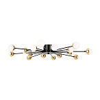 �������������������� Celebrity Freya FR5242CL-16B