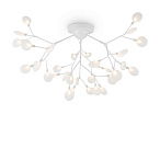 Потолочный светильник Florencia Freya FR5049CL-36W1 Потолочный светильник Florencia Freya FR5049CL-36W1